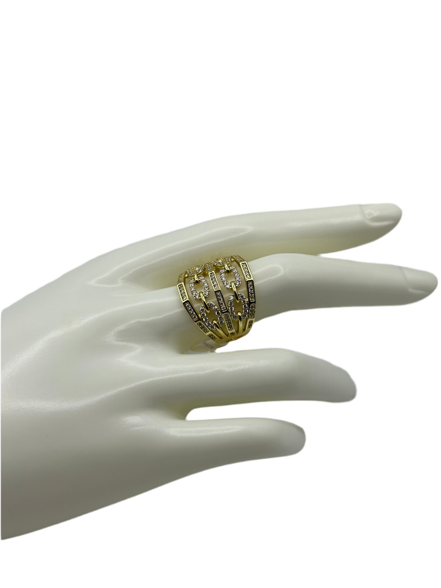 Large Chain Ring